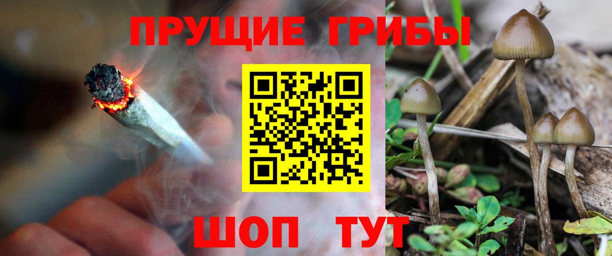 Псилоцибиновые грибы Cubensis  Псилоцибиновые грибы Psilocybine cubensis  Урюпинск  Вход с VPN 